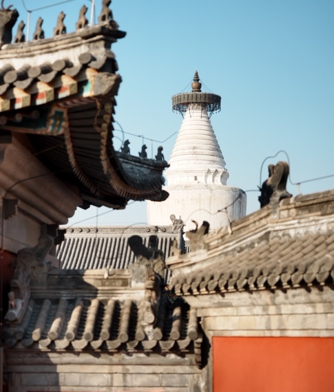 Flfilm Look Street Walk