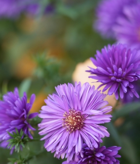 Creative Look Recipe